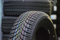 LASSA 245/40/18 97V SNOWAYS 4 XL фото