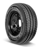 Nexen 205/80/16C 110/108S Roadian CT8 фото